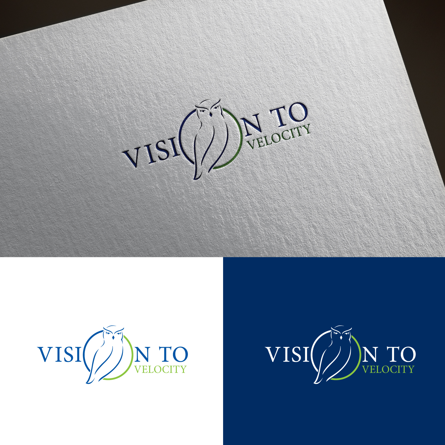 Logo Design by sankar999 for Vision to Velocity | Design #35808058