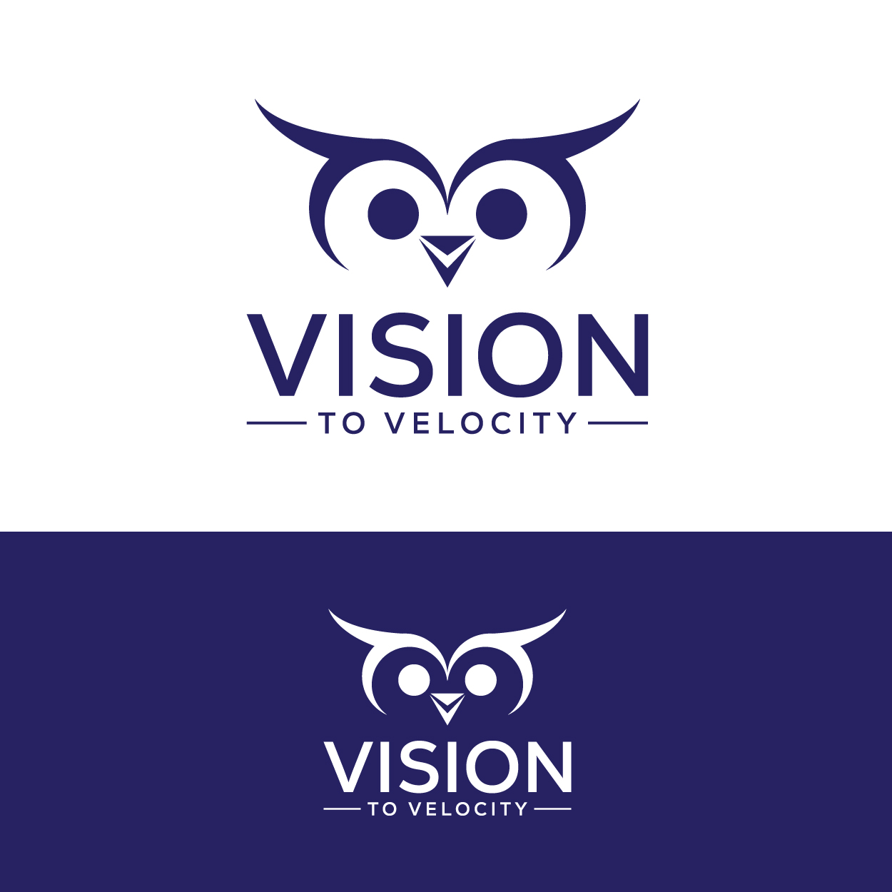 Design de Logo par ahmeddesigner123 pour Vision to Velocity | Design #35805941