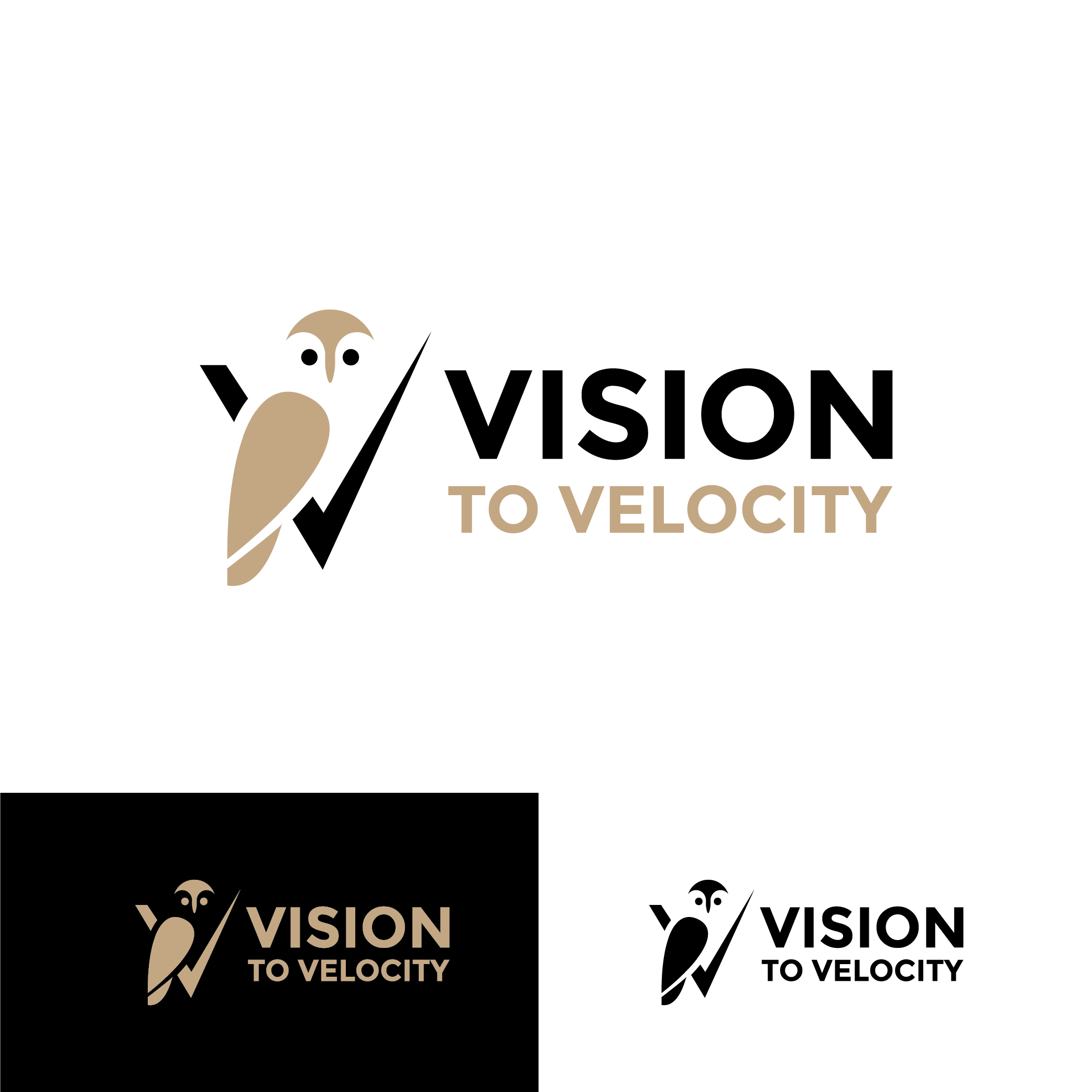 Logo Design by Rin's Gold for Vision to Velocity | Design #35840272