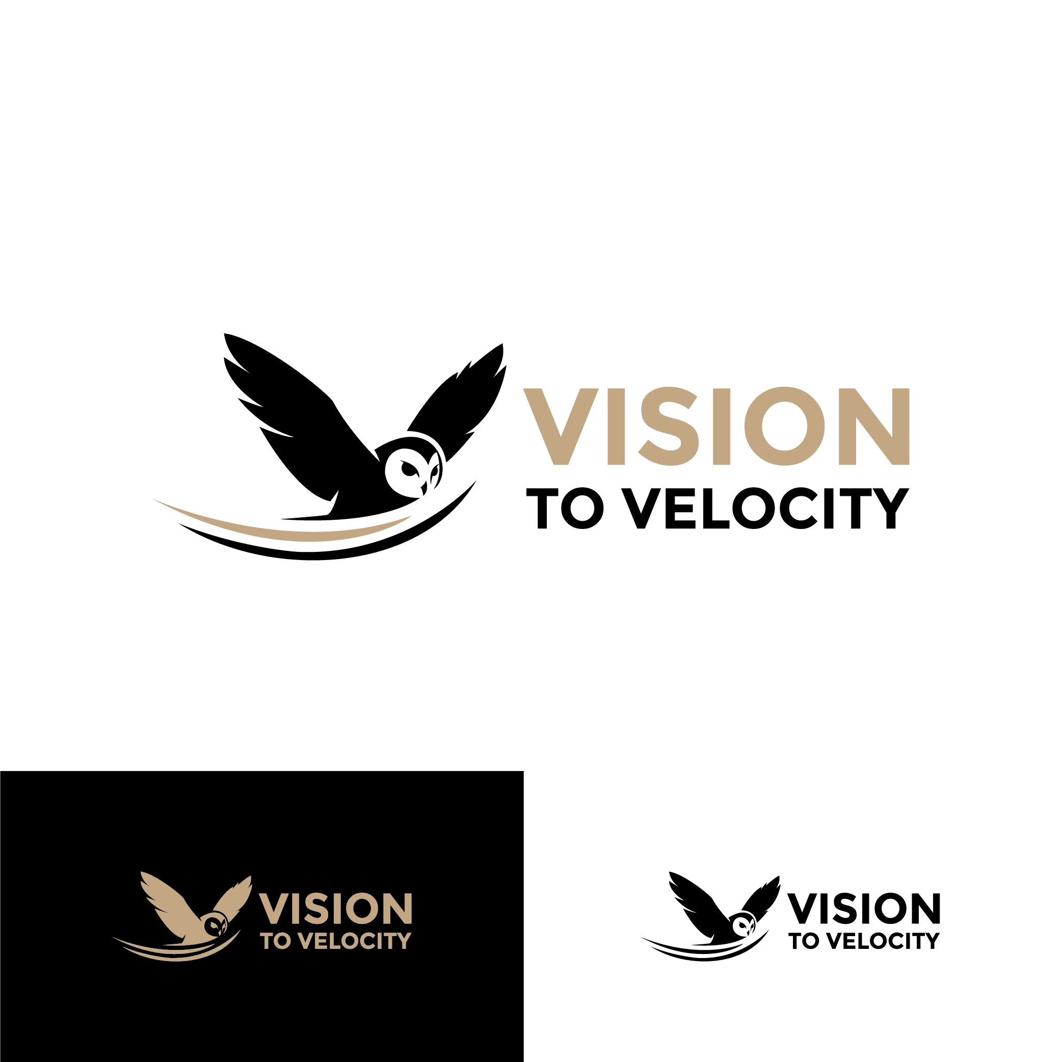 Diseño de Logo por Sibronestha para Vision to Velocity | Diseño #35840273