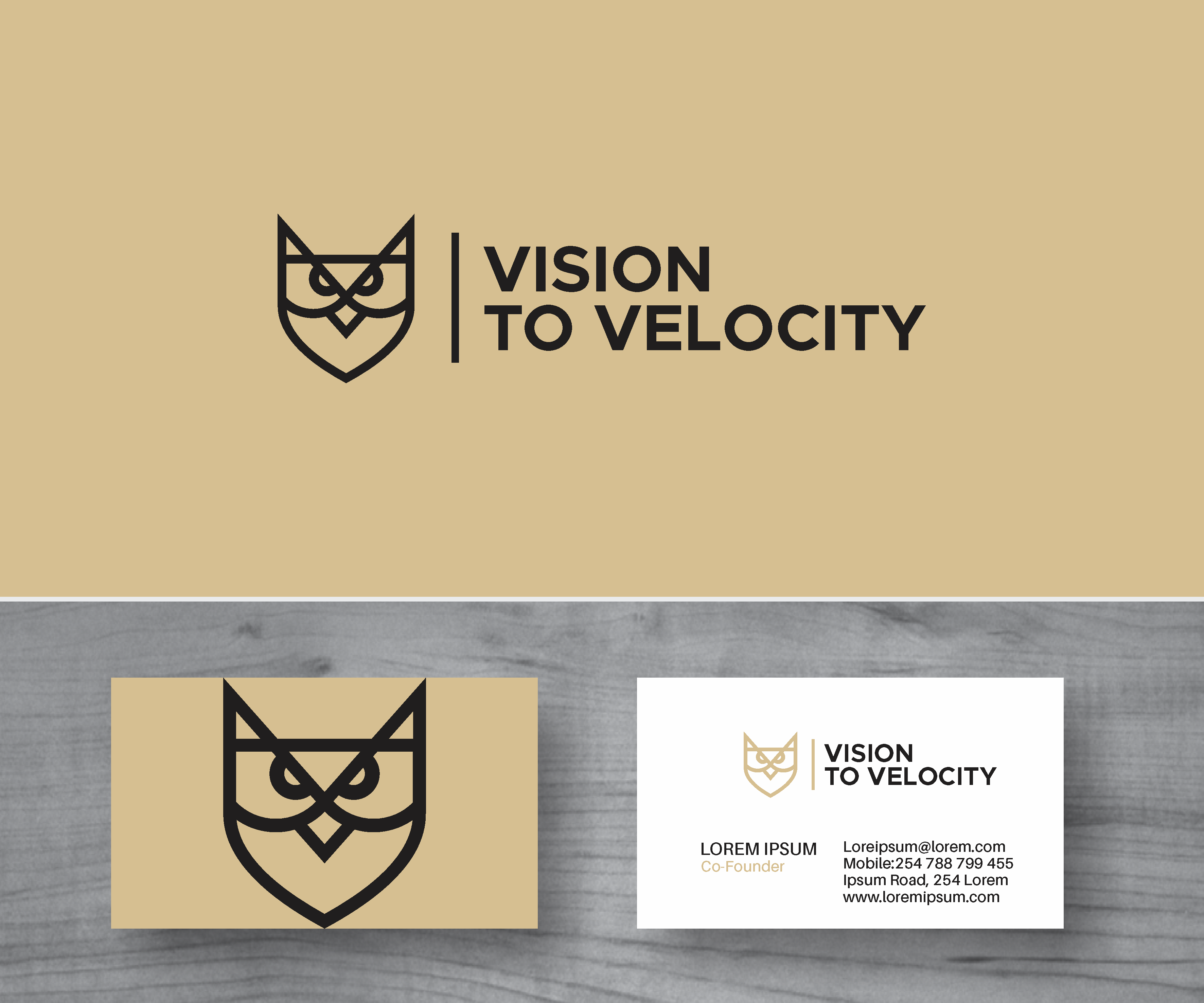 Logo Design by MBARO for Vision to Velocity | Design #35850934