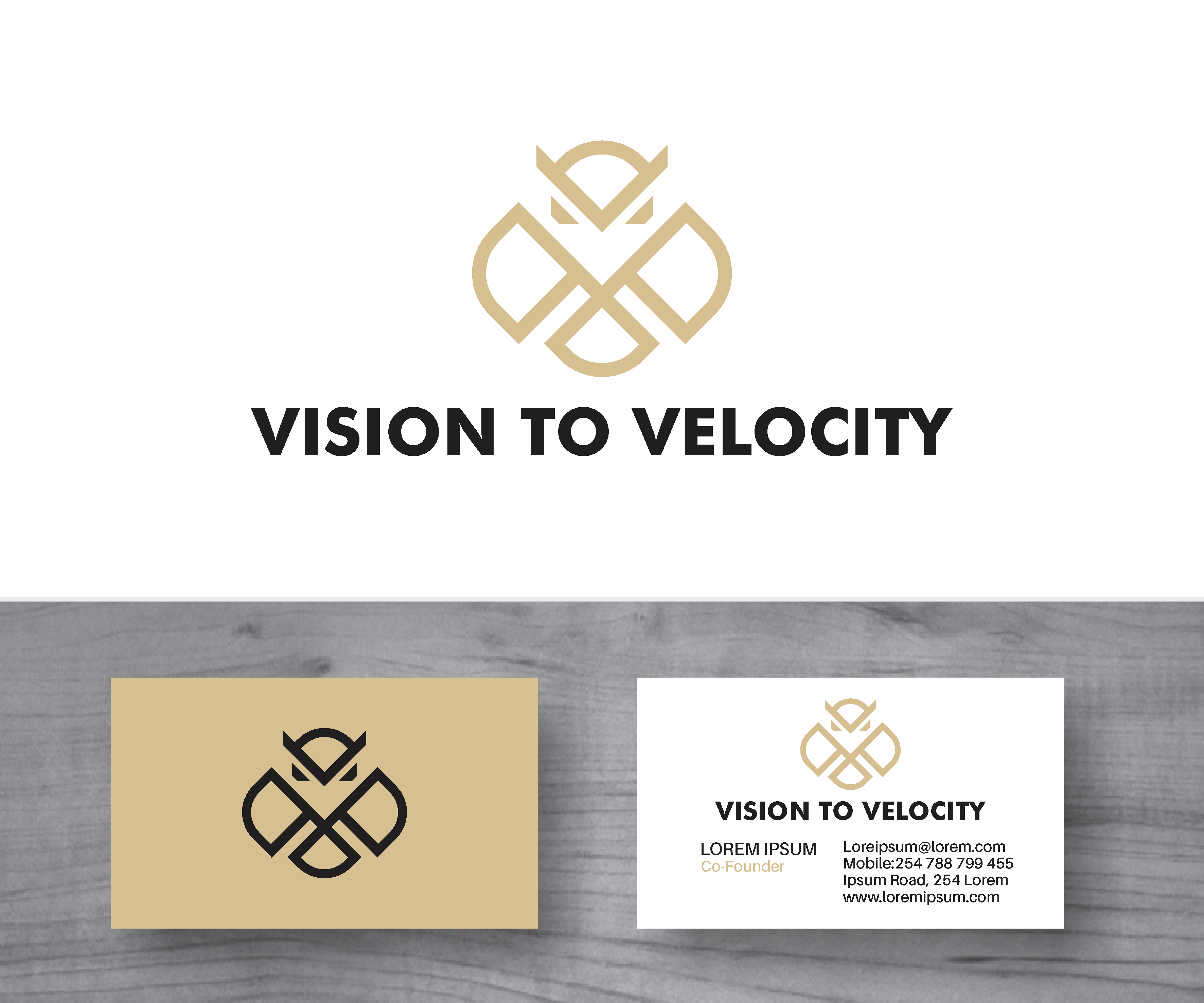 Logo Design by MBARO for Vision to Velocity | Design #35857361