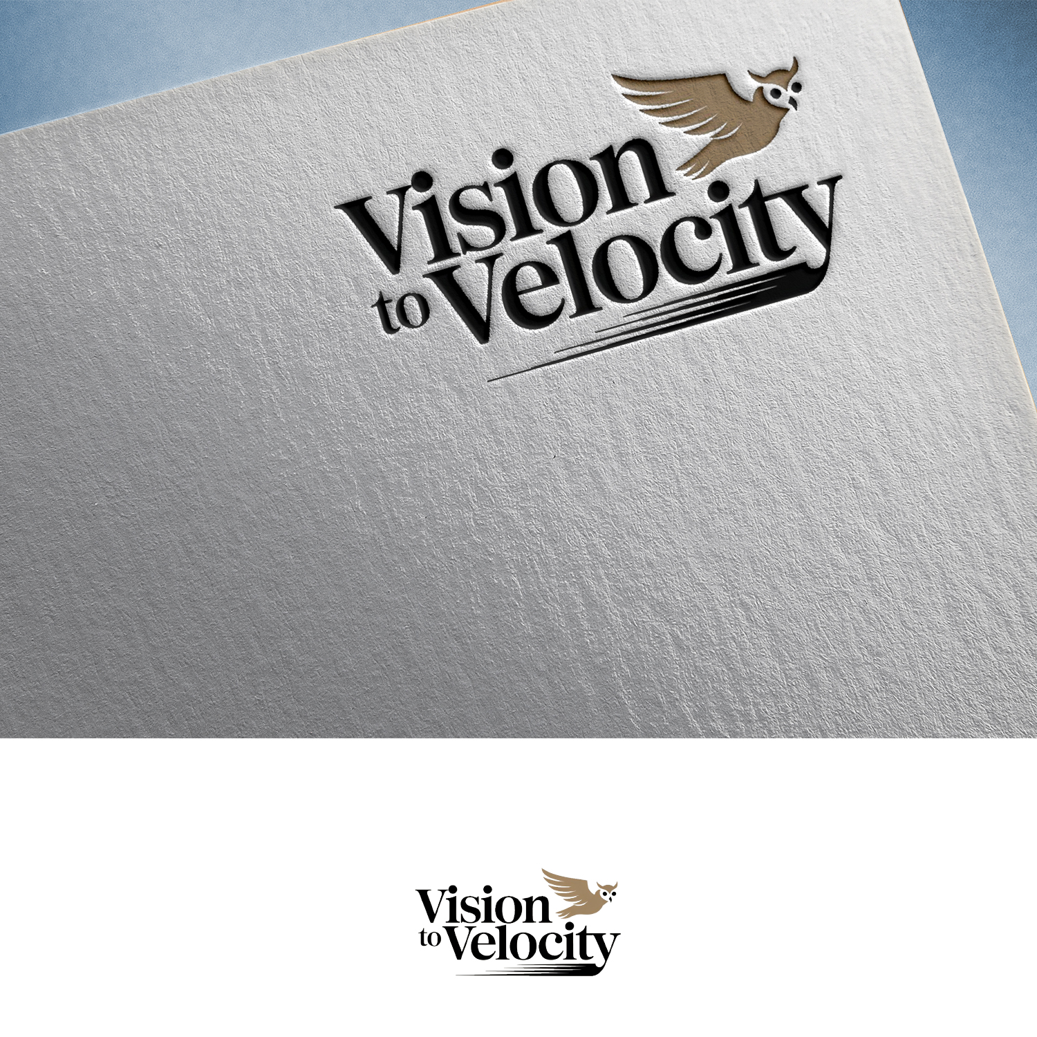 Logo Design by Feni:) for Vision to Velocity | Design #35809253