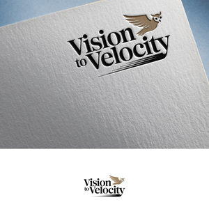 Logo Design by Feni:) for Vision to Velocity | Design: #35809253