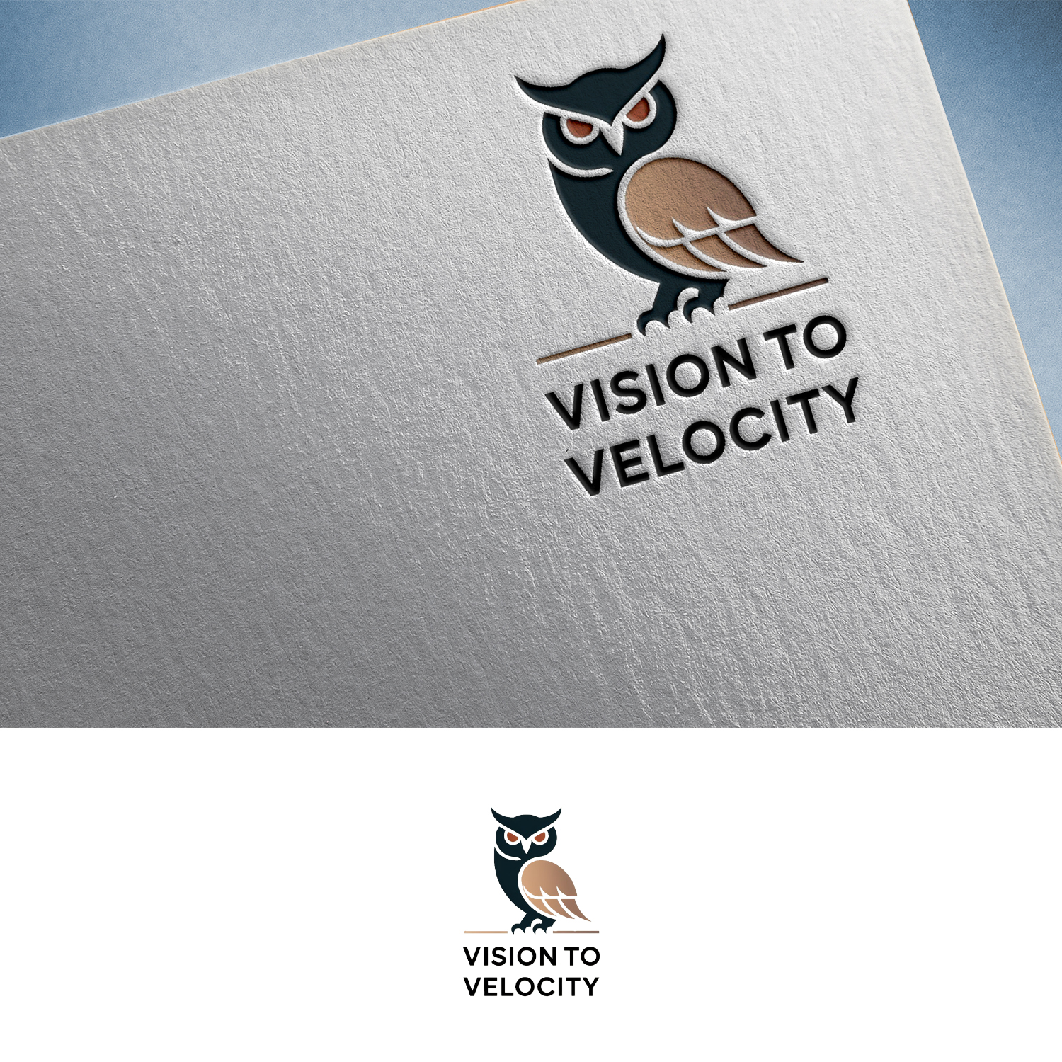 Logo Design by Feni:) for Vision to Velocity | Design #35809255