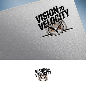 Logo Design by Feni:) for Vision to Velocity | Design: #35809257