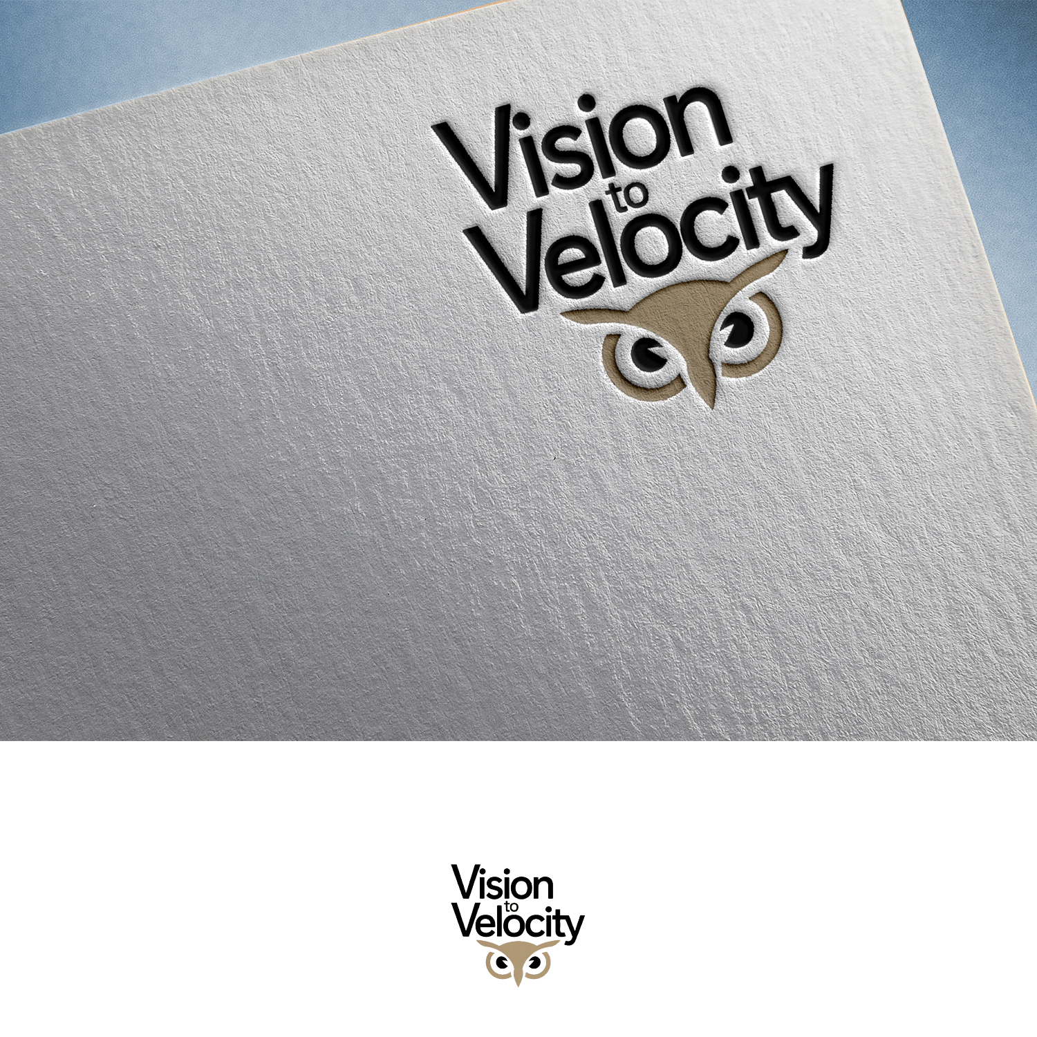 Logo Design by Feni:) for Vision to Velocity | Design #35809259