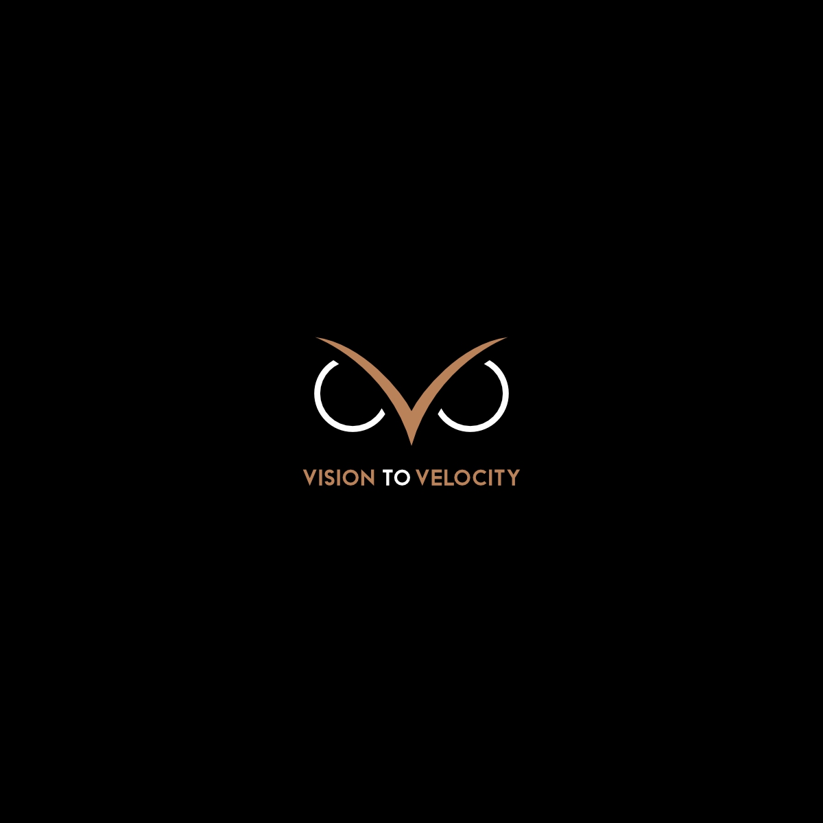 Diseño de Logo por Ashani Bhattacharya para Vision to Velocity | Diseño #35812970