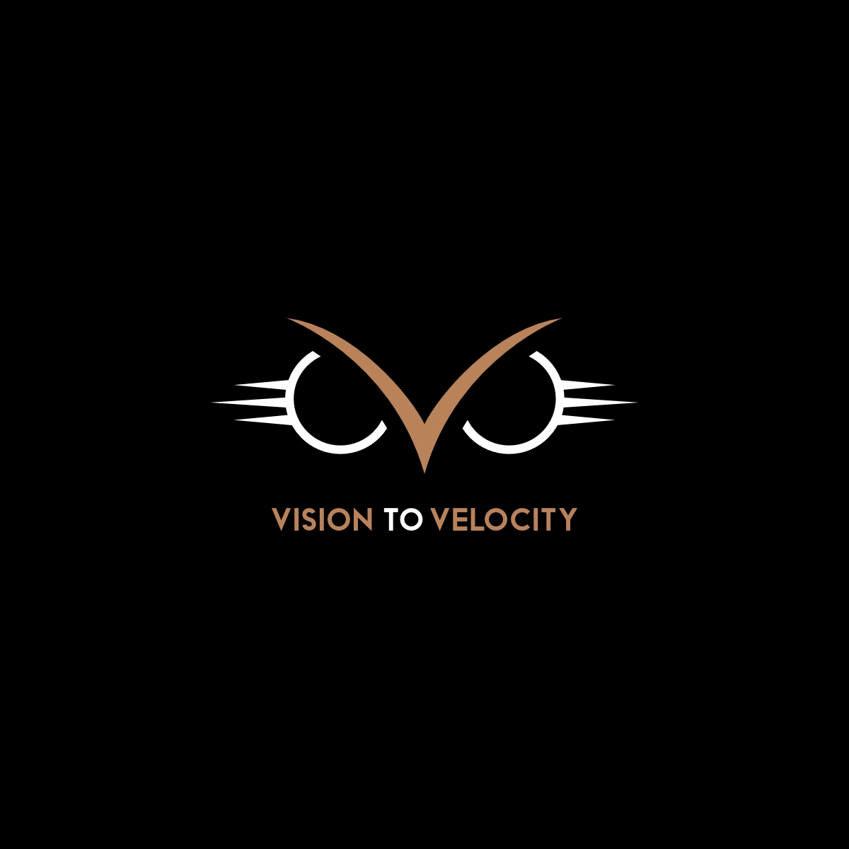 Logo-Design von Ashani Bhattacharya für Vision to Velocity | Design #35813065