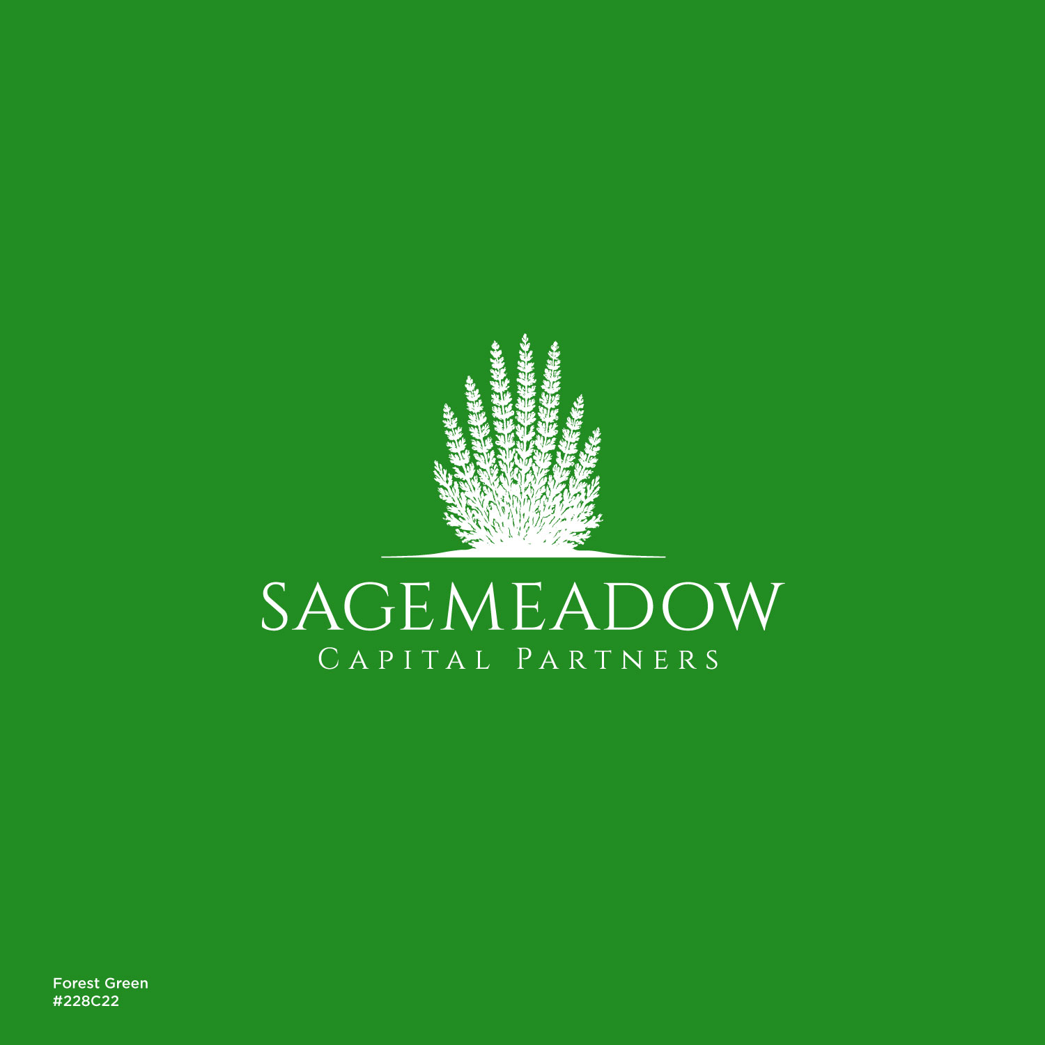Logo Design by Nglray for Sagemeadow Capital Partners LLC | Design #35830284