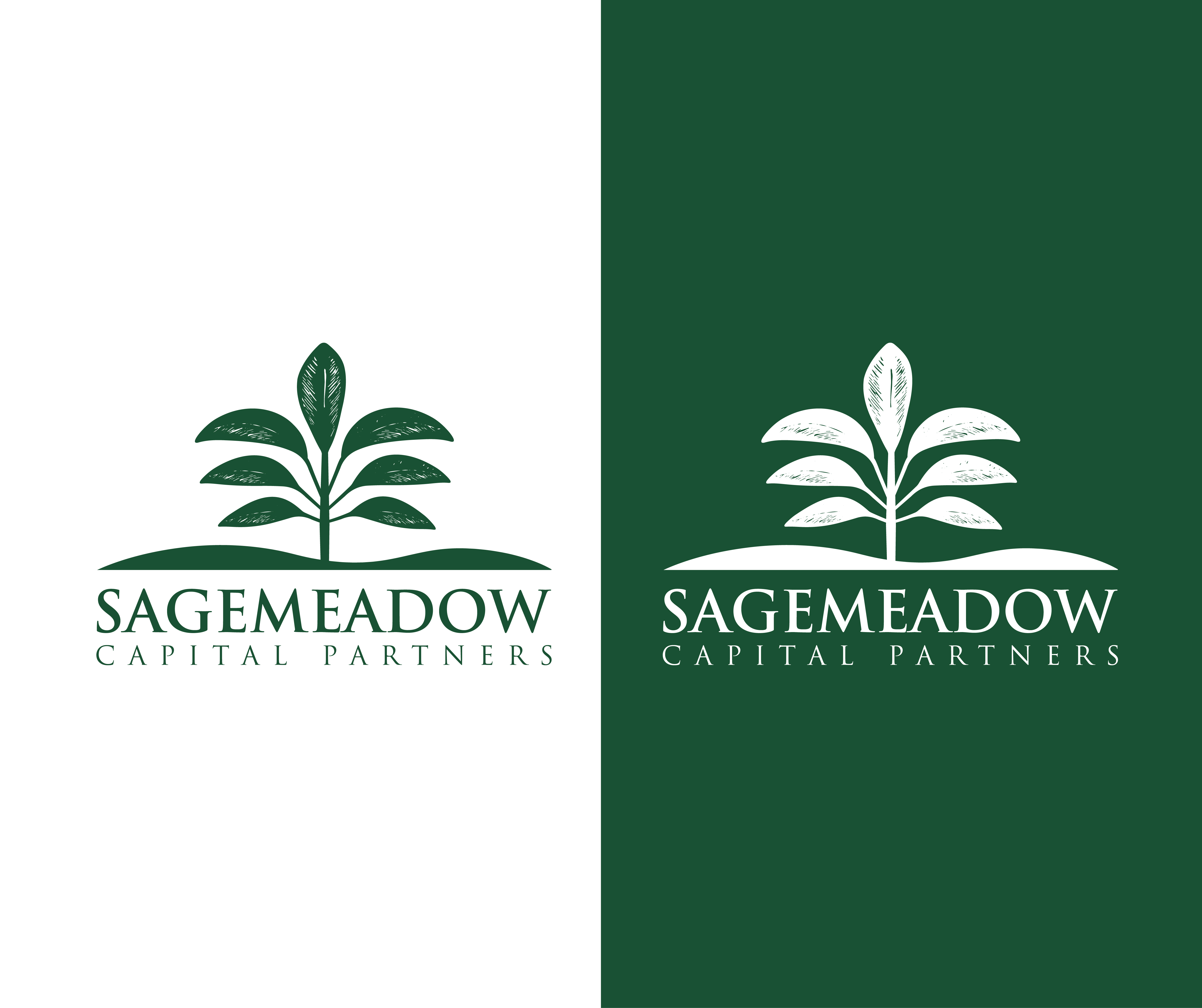 Logo Design by dx_designer for Sagemeadow Capital Partners LLC | Design #35814029