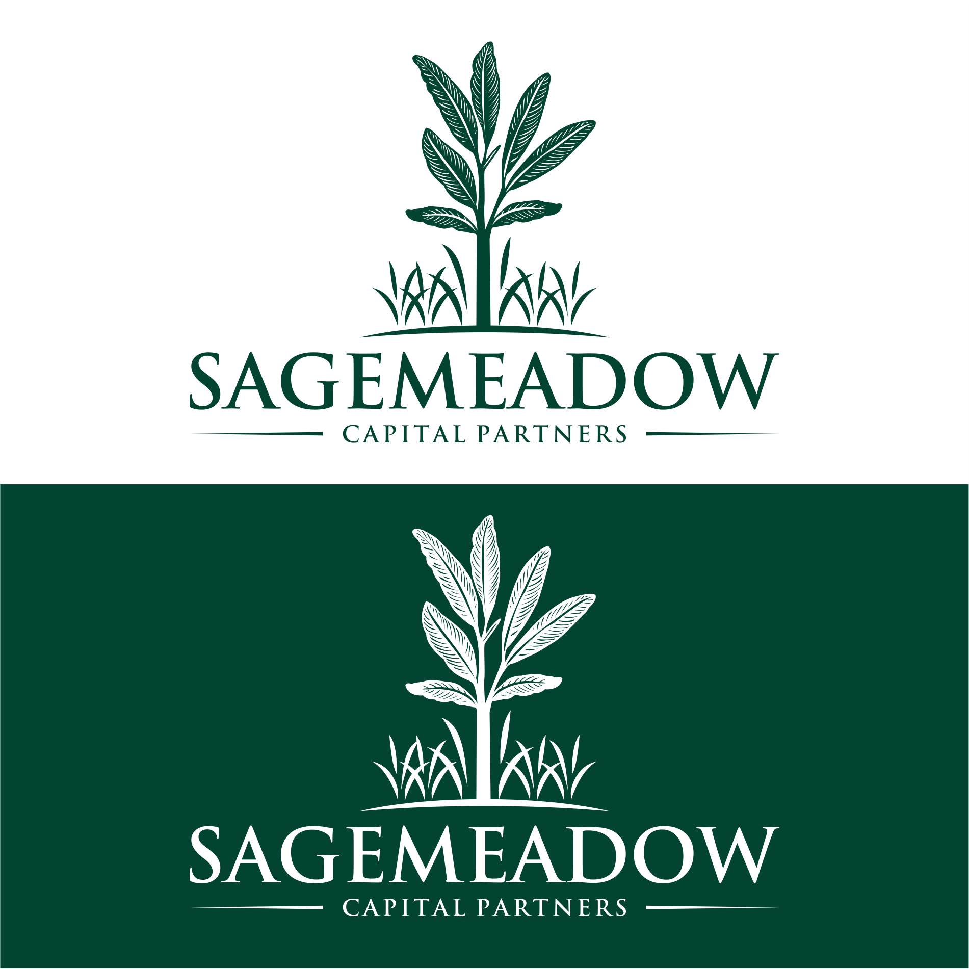 Logo-Design von diego costa für Sagemeadow Capital Partners LLC | Design #35813353
