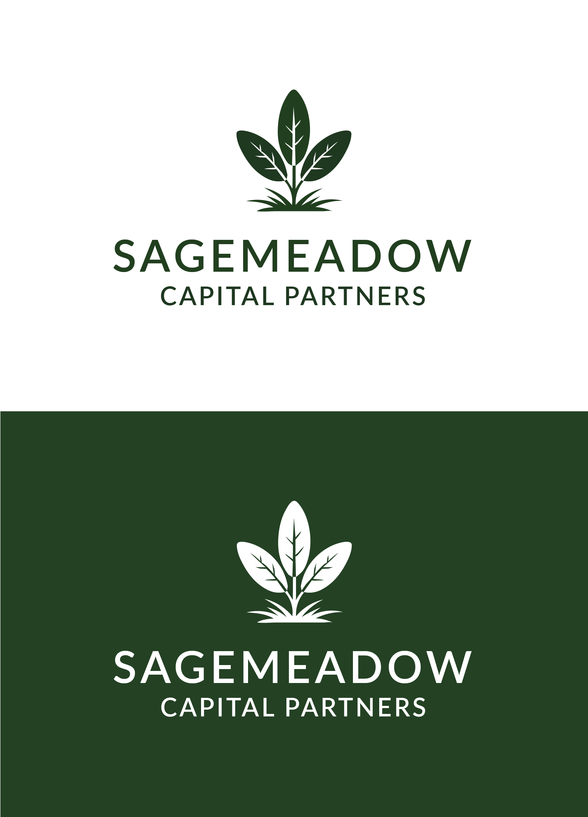 Logo Design by designs by Dylan for Sagemeadow Capital Partners LLC | Design #35814405