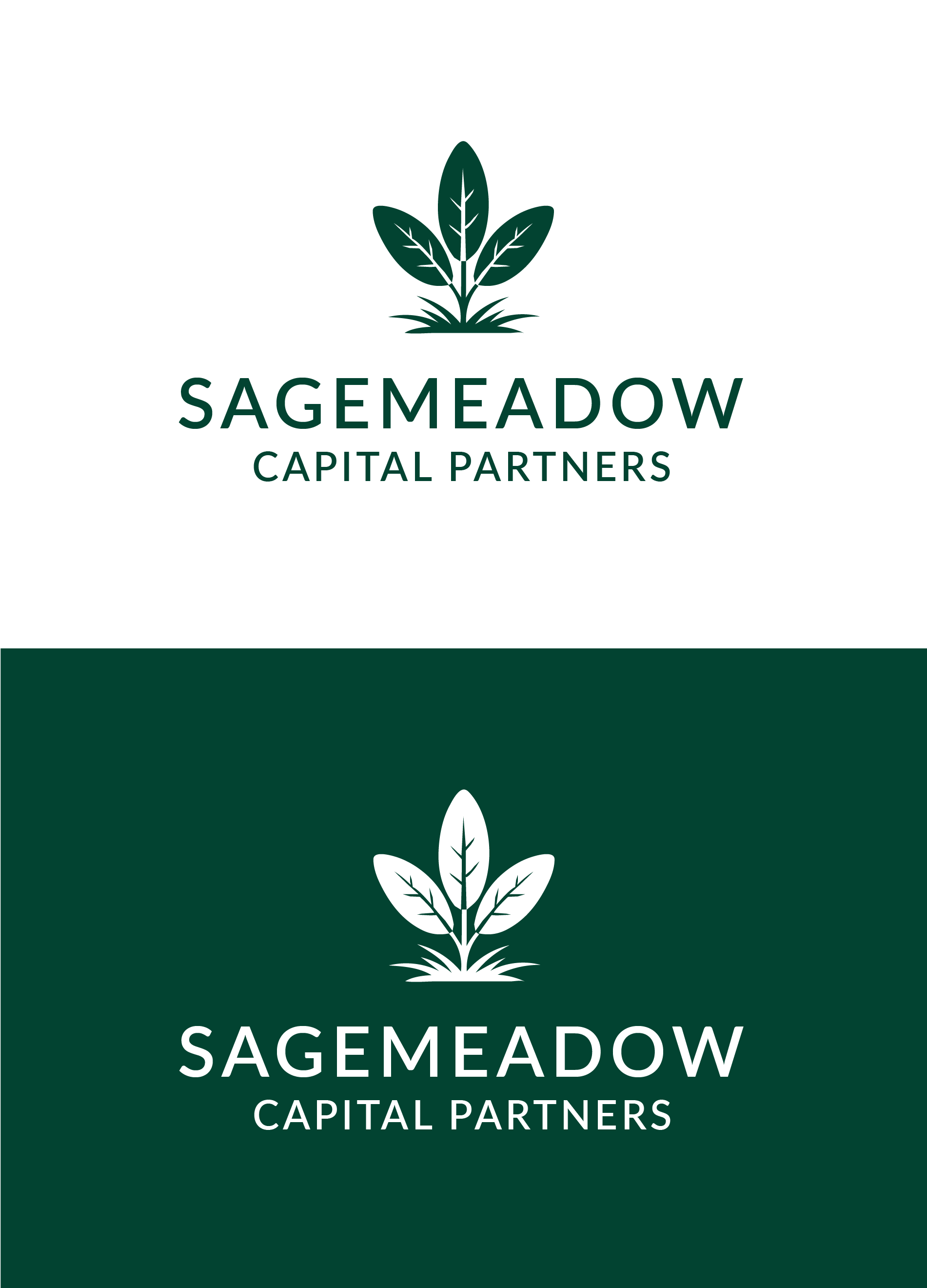 Logo Design by designs by Dylan for Sagemeadow Capital Partners LLC | Design #35814407