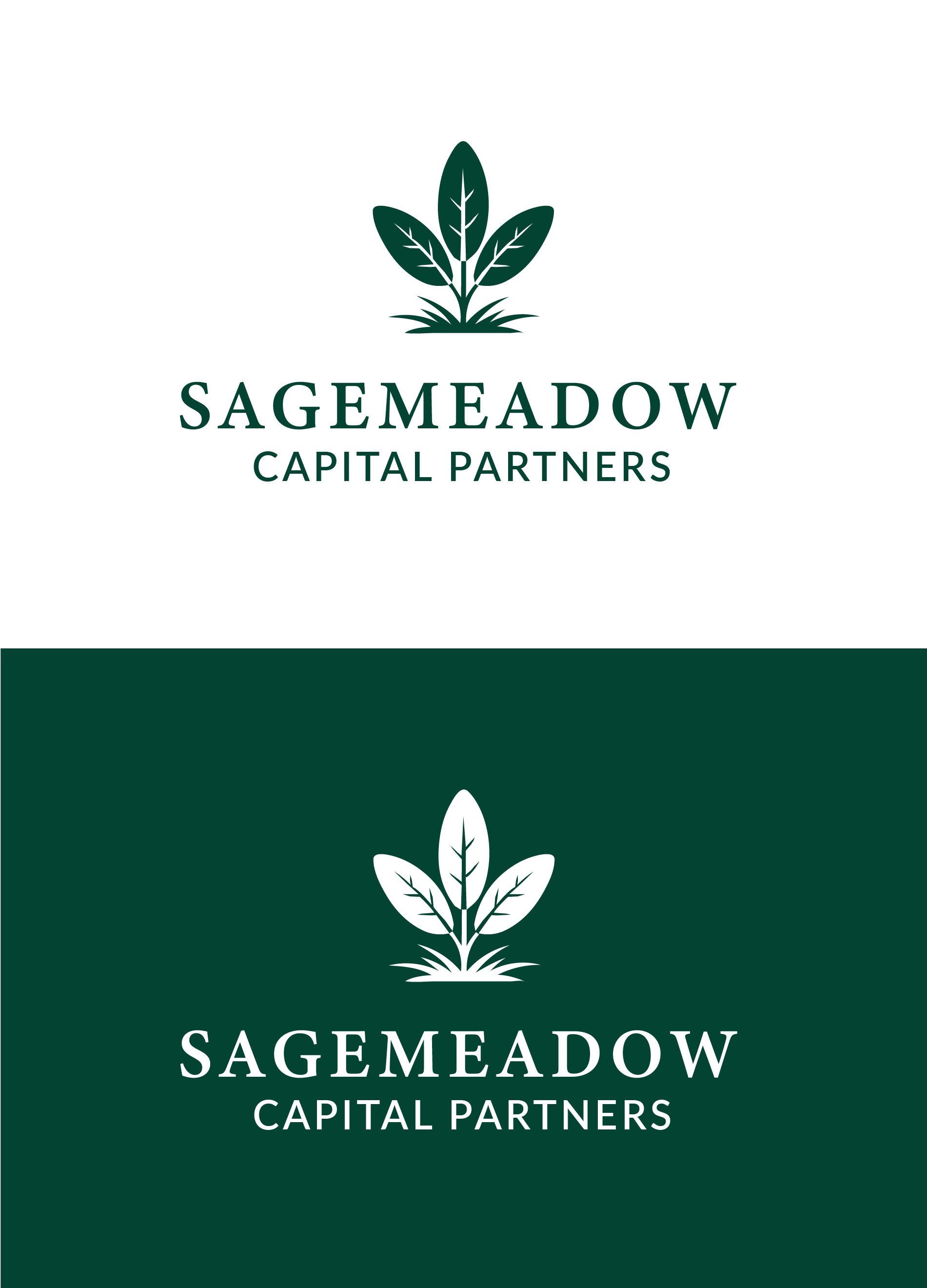 Logo Design by designs by Dylan for Sagemeadow Capital Partners LLC | Design #35814410