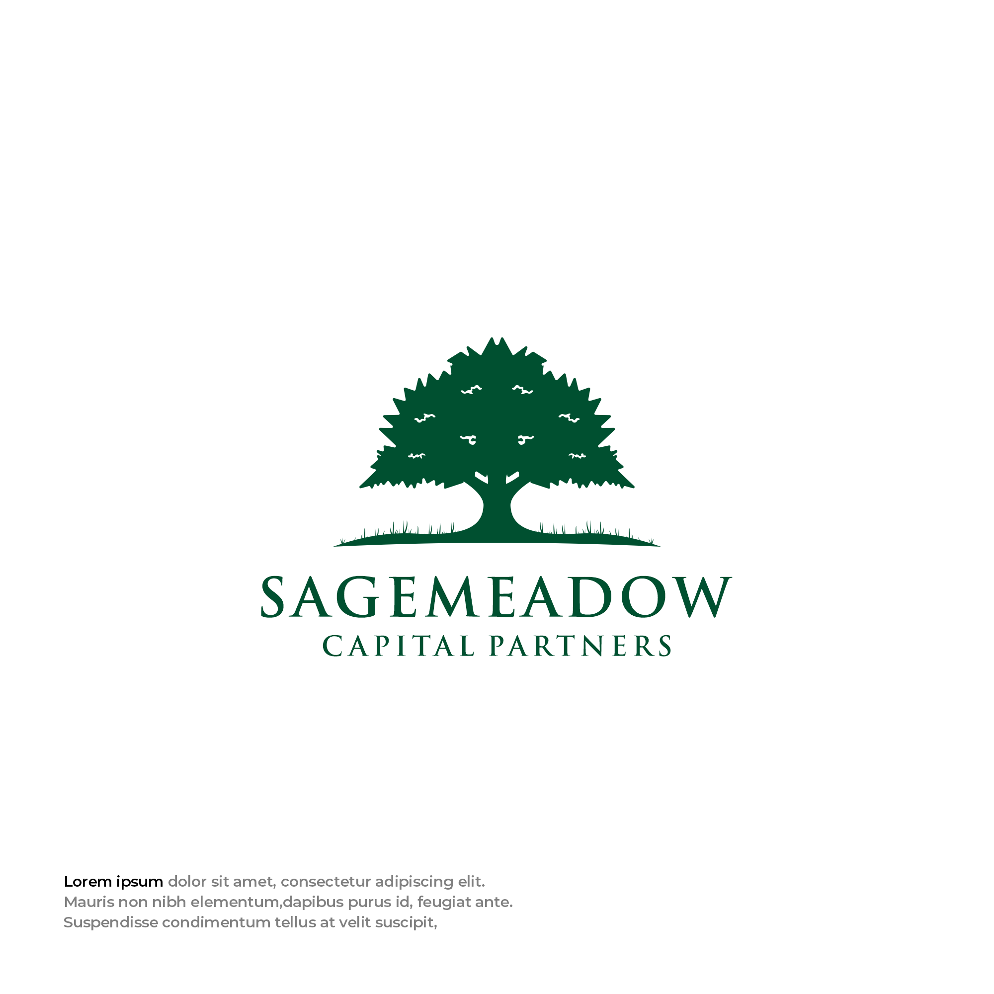 Logo Design by Mantra™ for Sagemeadow Capital Partners LLC | Design #35817525