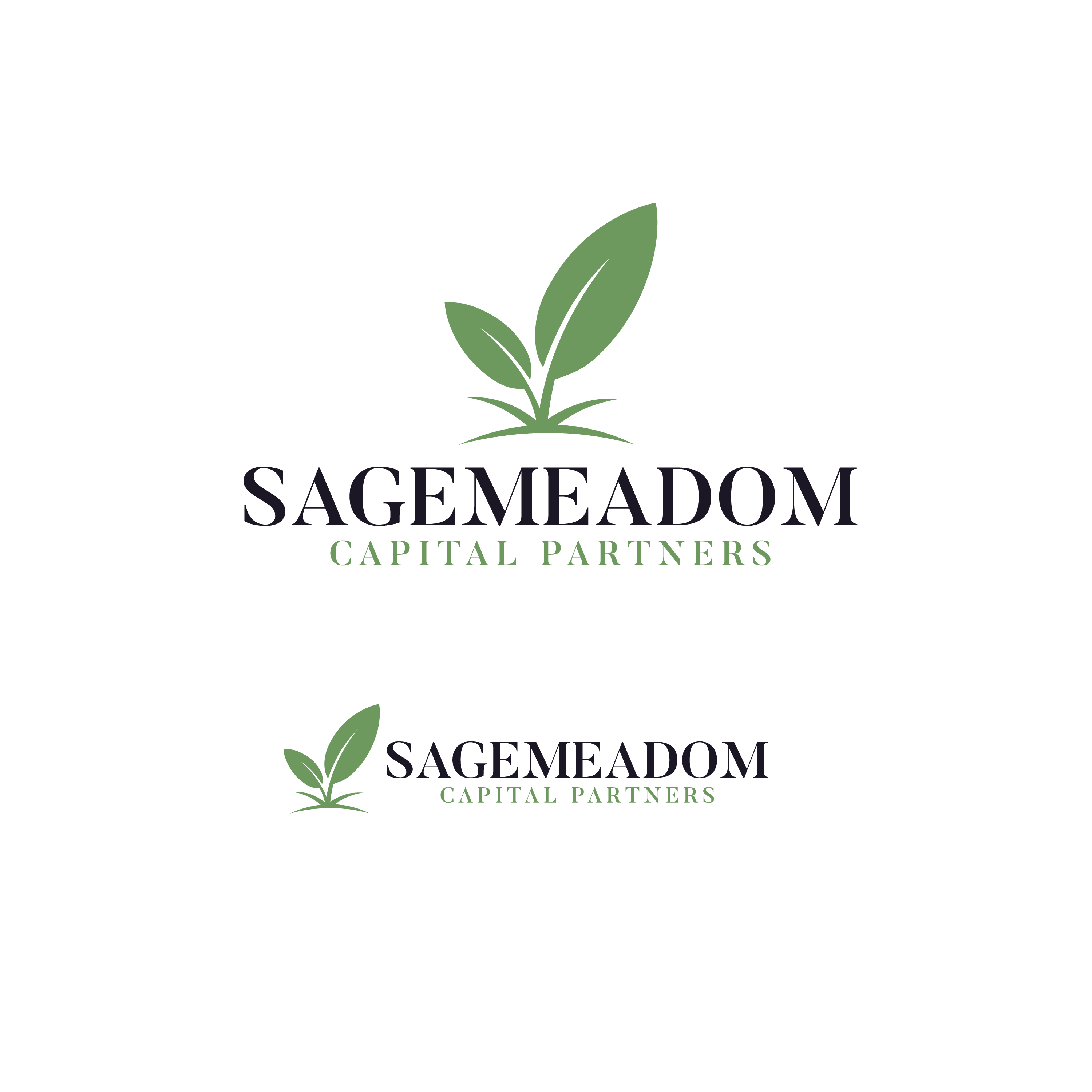 Logo Design by MST PINKY KHATUN for Sagemeadow Capital Partners LLC | Design #35819623