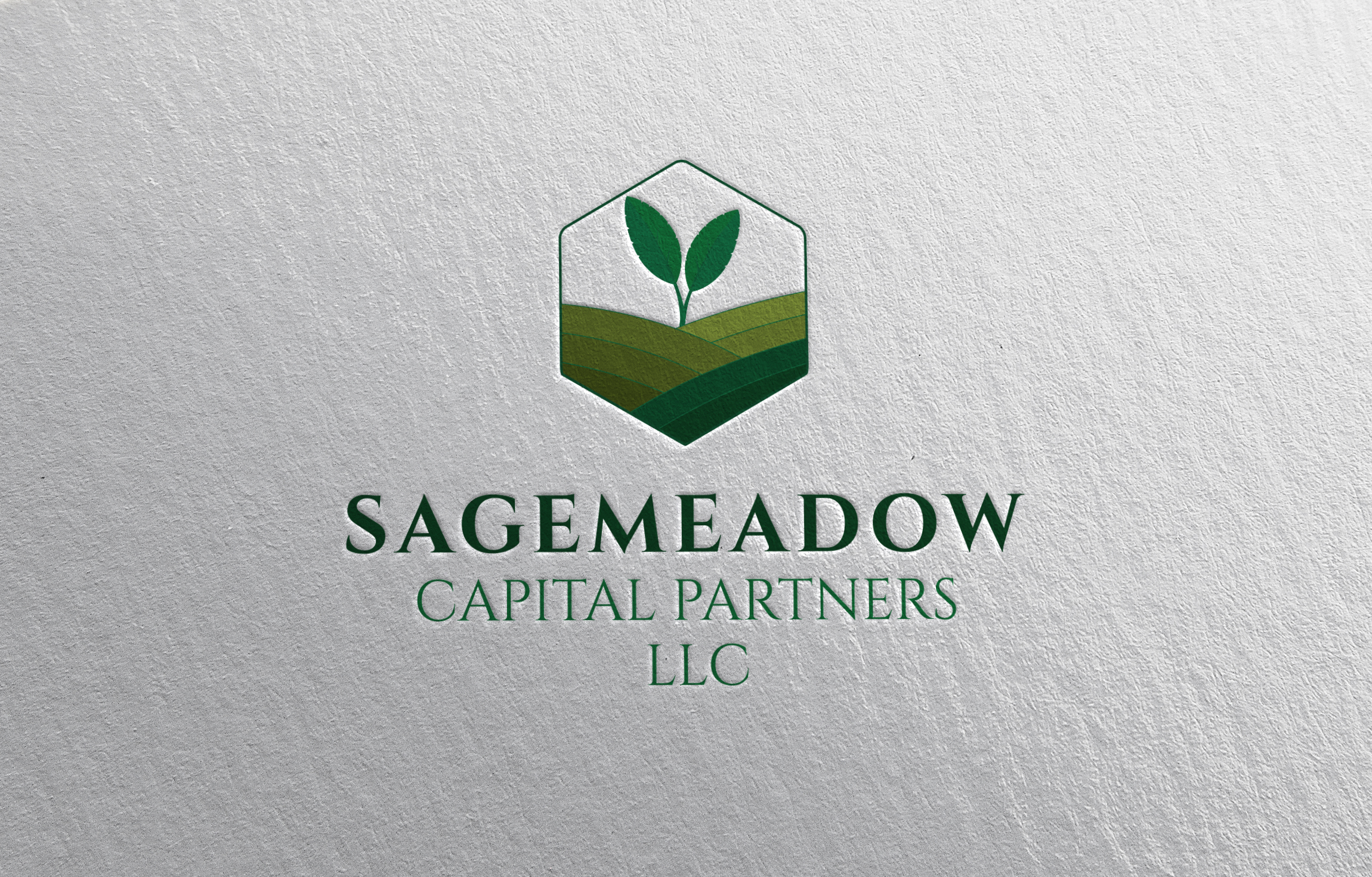 Logo Design by MST . ANWARA KHATUN for Sagemeadow Capital Partners LLC | Design #35816767