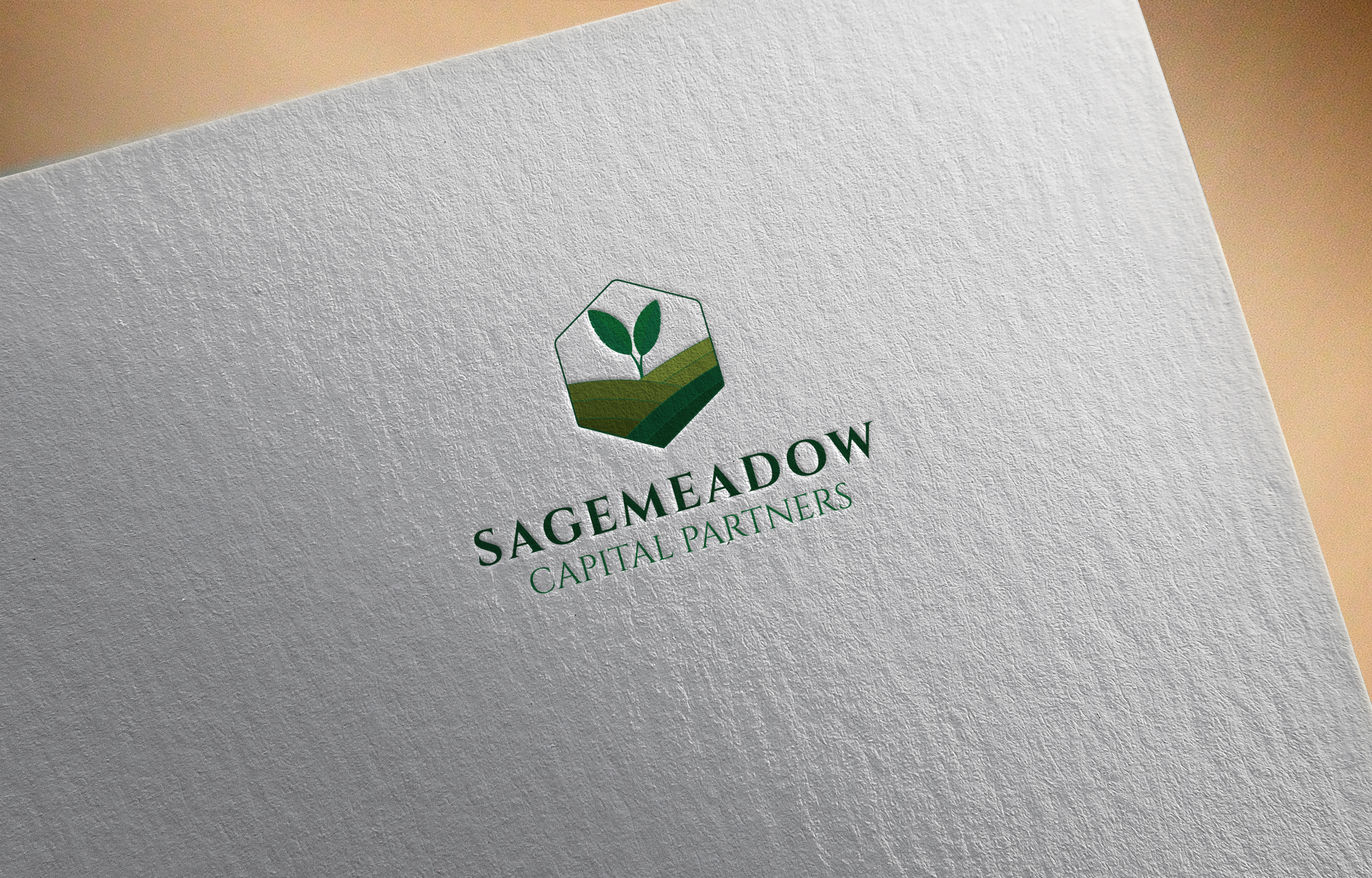 Design de Logo par MST . ANWARA KHATUN pour Sagemeadow Capital Partners LLC | Design #35816768