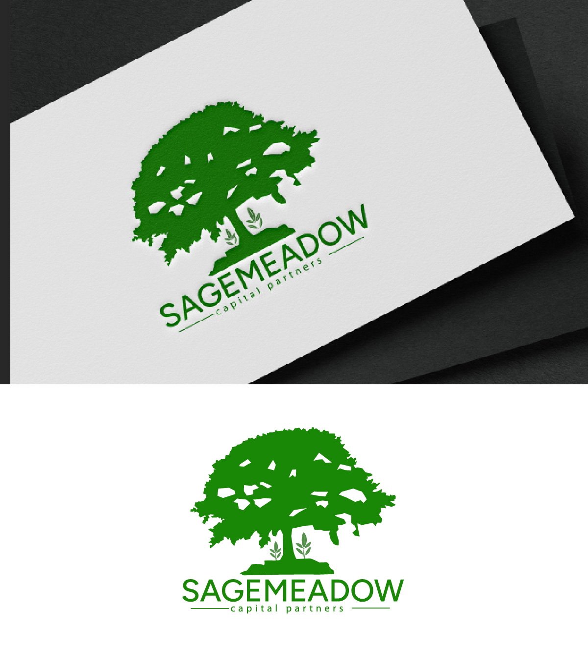 Logo Design by fly  design for Sagemeadow Capital Partners LLC | Design #35816600