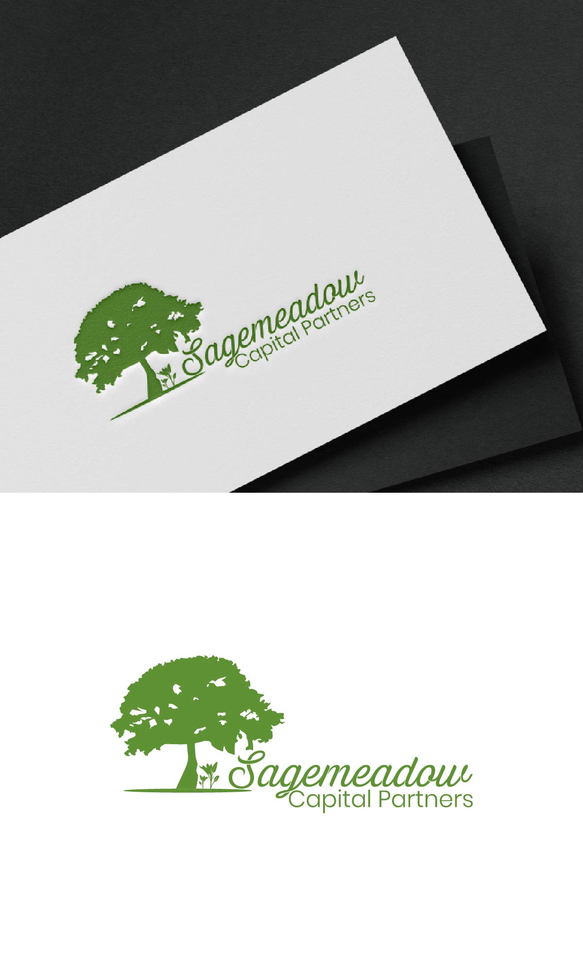 Logo Design by fly  design for Sagemeadow Capital Partners LLC | Design #35816679