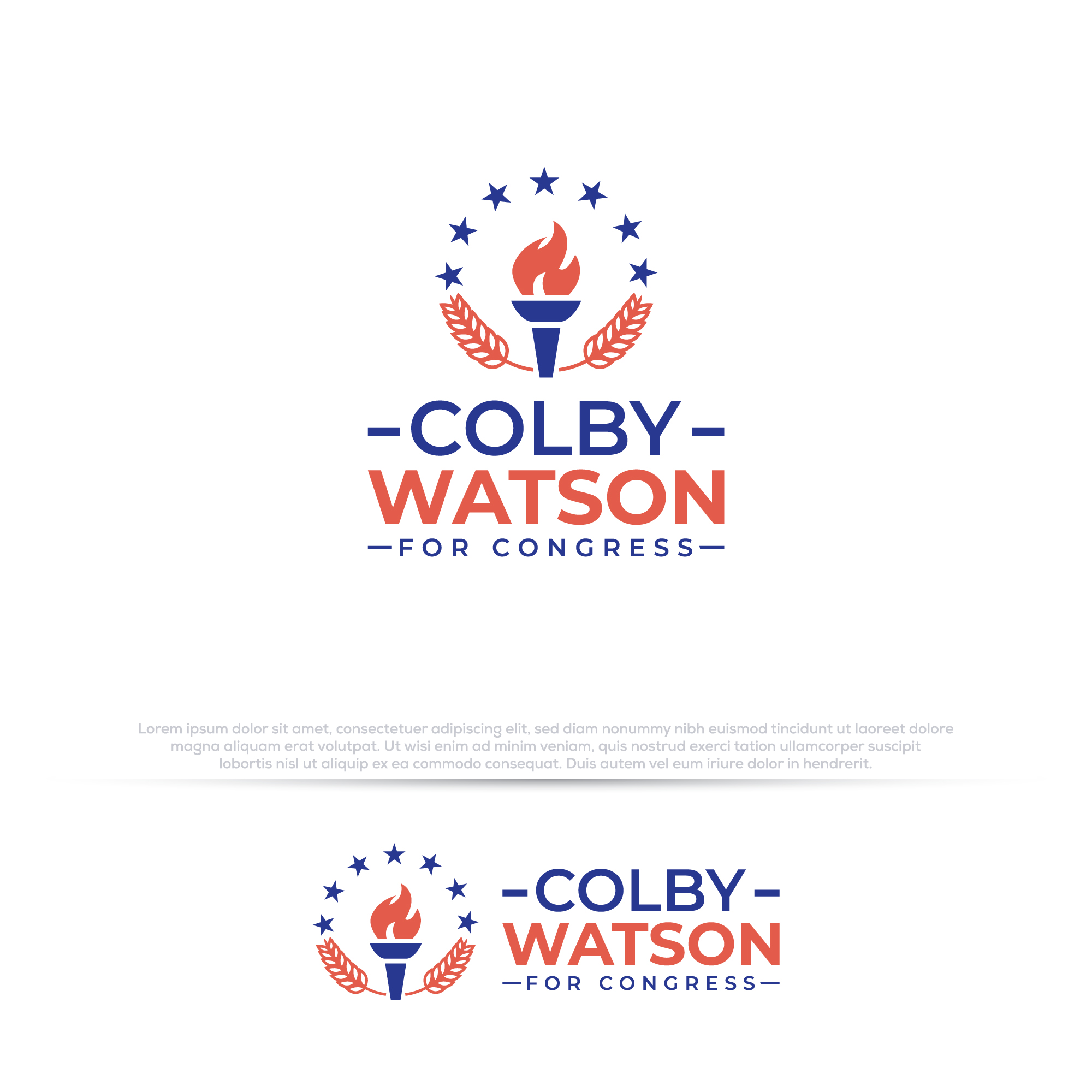 Logo Design by Pilot_DesignR™ for this project | Design #35844798