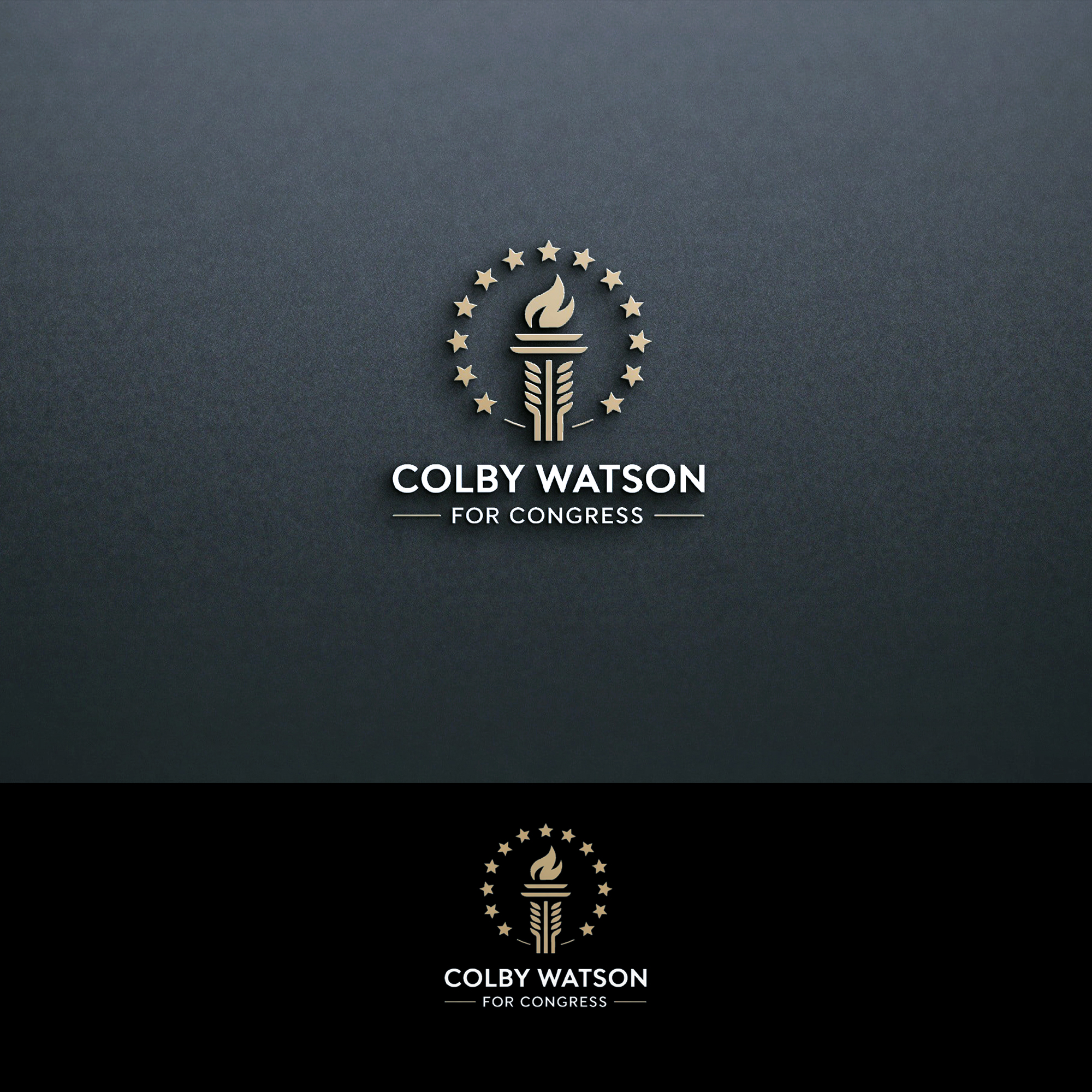 Logo Design by Feni:) for this project | Design #35843040
