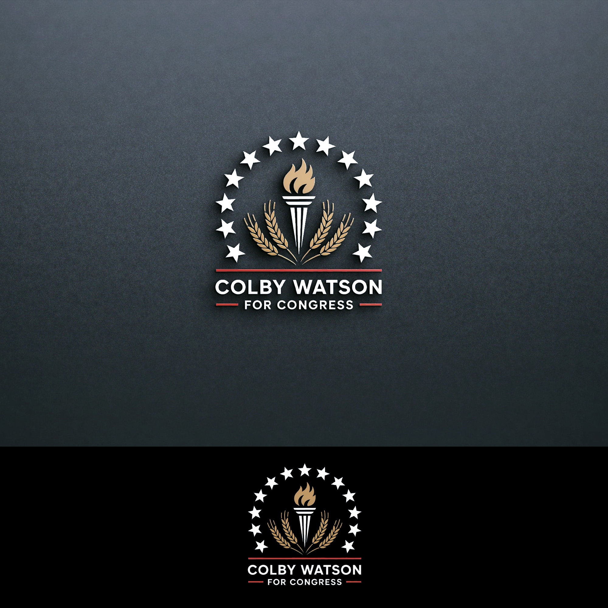 Logo Design by Feni:) for this project | Design #35843041