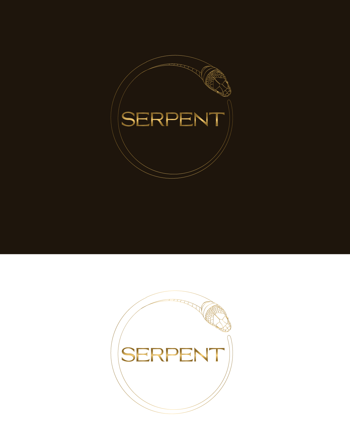 Logo Design by Om Namah Shivay for this project | Design #35851020