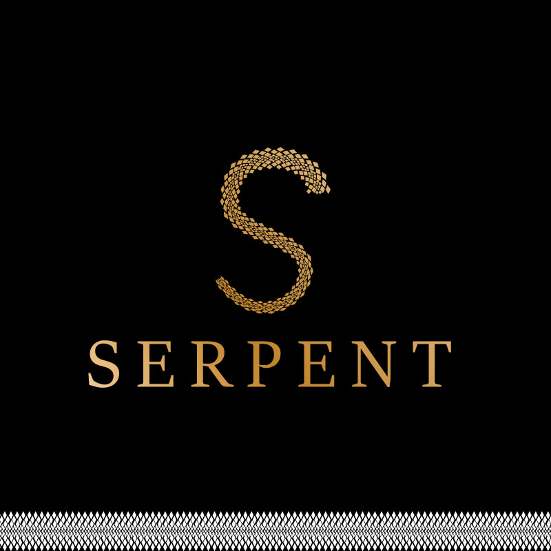 Logo Design by VisionCraft™ for this project | Design #35849509