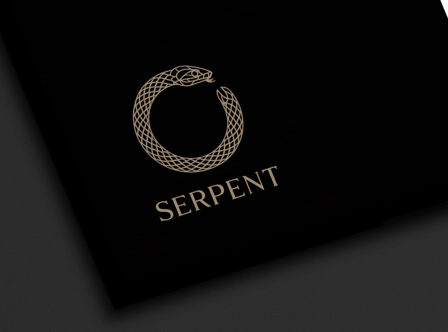Logo Design by D -lara seen for this project | Design #35857466