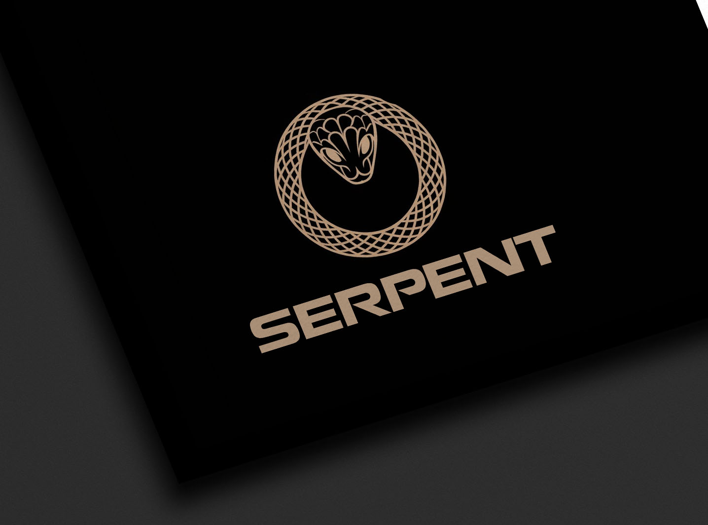 Diseño de Logo por D -lara seen para este proyecto | Diseño #35857472