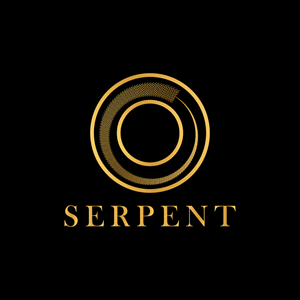 Logo Design by Brand Creator for this project | Design: #35856806