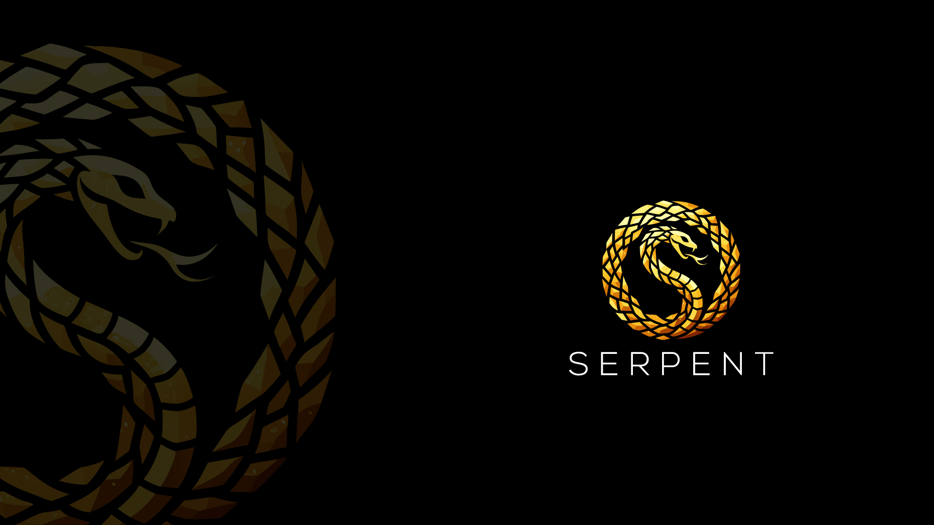 Logo Design by Ben Naveed for this project | Design #35848151