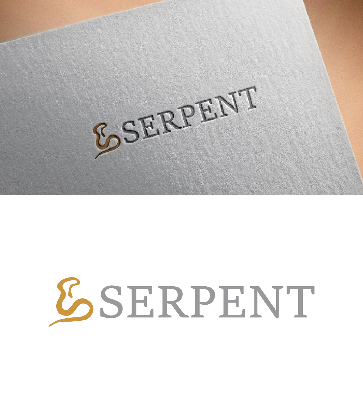 Logo Design by fly  design for this project | Design #35850640
