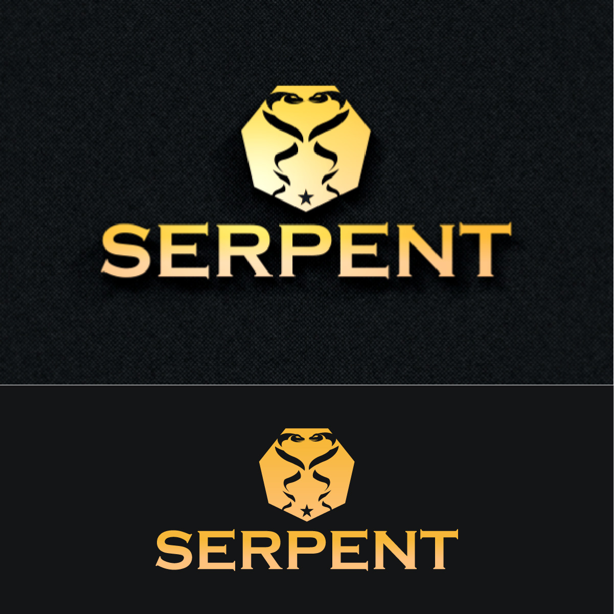 Logo Design by fly  design for this project | Design #35851088