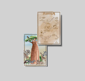 Invitation Design by Design_Duo