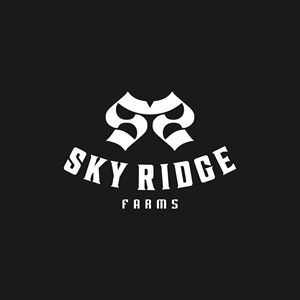 Logo Design by DoppelGanger Studio for this project | Design: #35882177