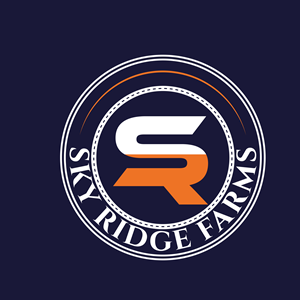 Logo Design by dynamicstudio