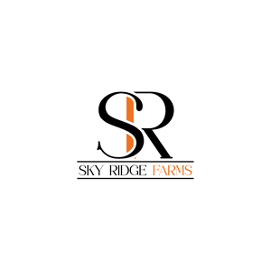 Logo Design by dynamicstudio for this project | Design: #35870007
