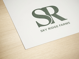 Logo Design by PixelCraft Designs for this project | Design: #35871848