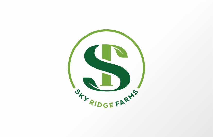 Logo Design by soulpro03 for this project | Design #35871506