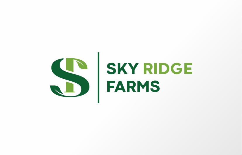 Logo Design by soulpro03 for this project | Design #35871552