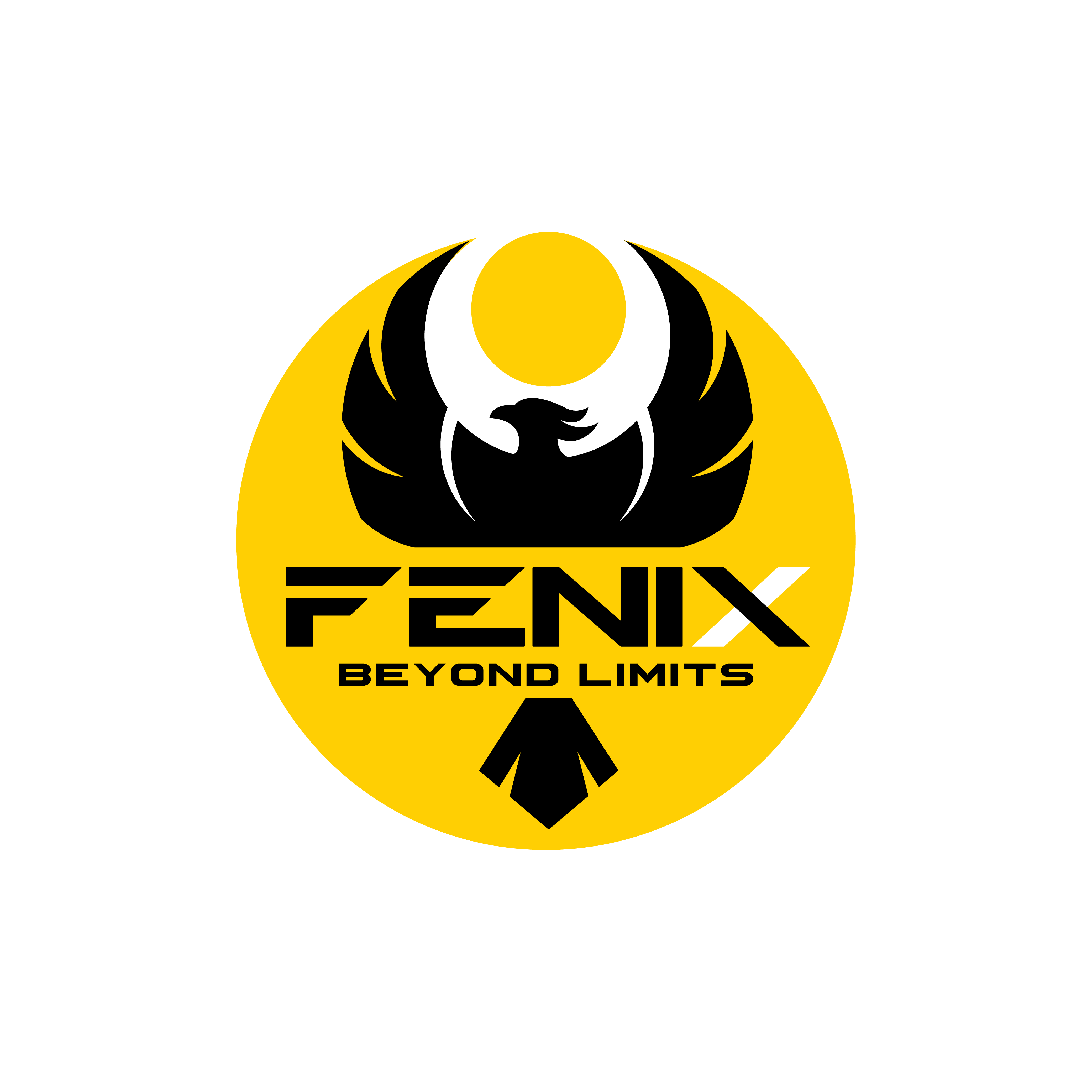 Diseño de Logo por ares_h1 para Fenix | Diseño #35873893