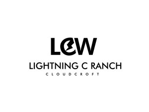Logo Design by Hasib3509
