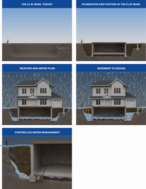 Graphic Design by Alike for AM SHIELD | Design: #35901513