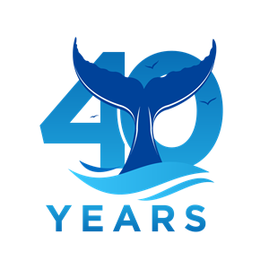 Logo-Design von Sergio Coelho für dieses Projekt | Design: #35874103