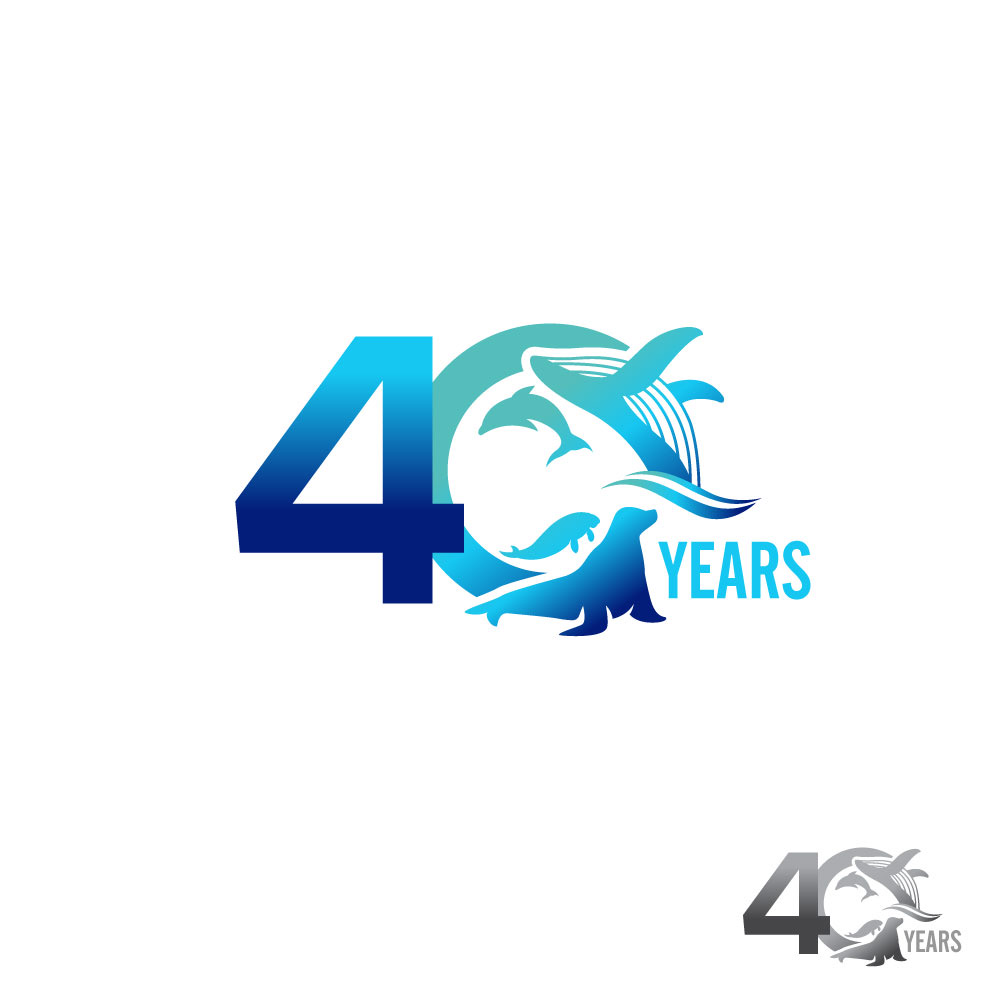 Logo Design by YourLogoMaster for this project | Design #35942575