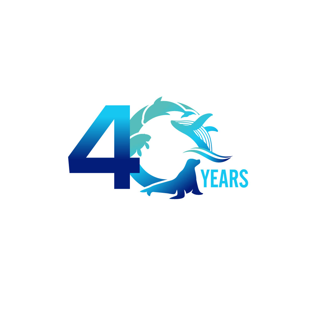 Logo-Design von YourLogoMaster für dieses Projekt | Design #36012930