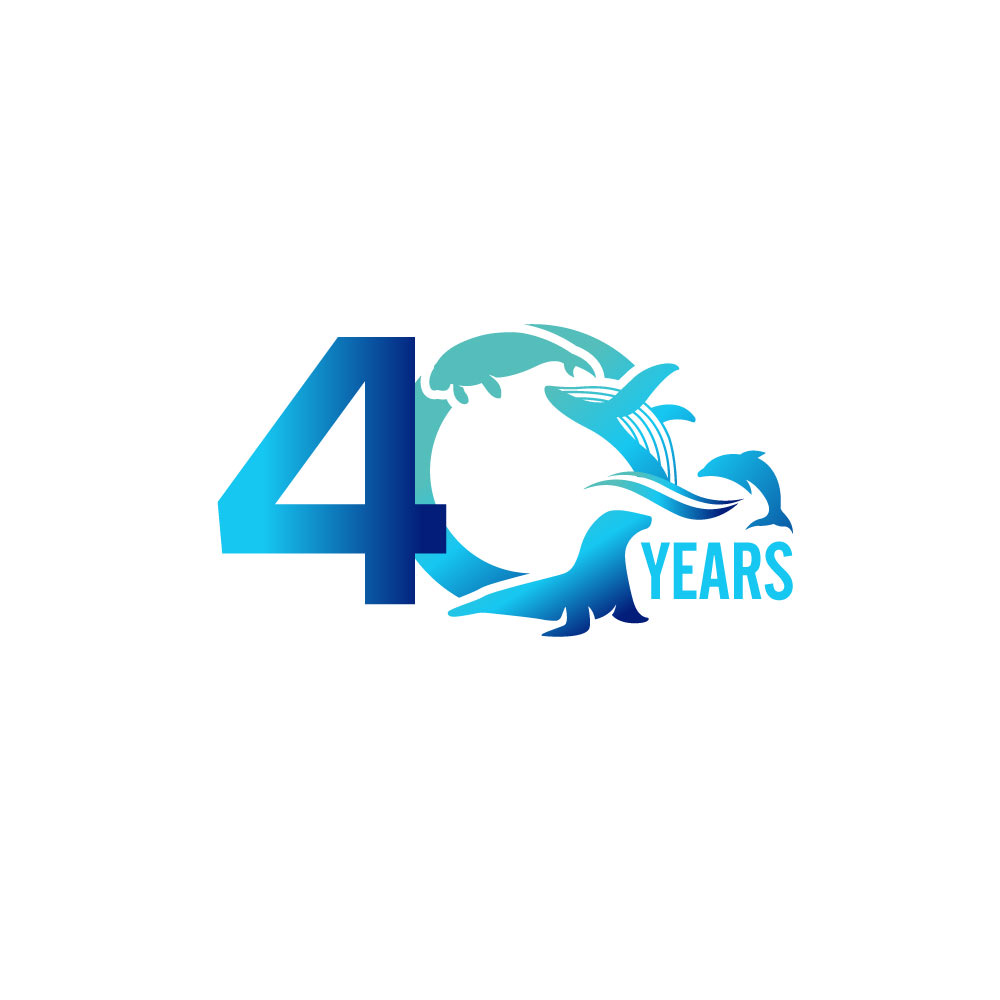 Logo Design by YourLogoMaster for this project | Design #36013299